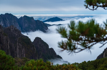 Sea of ​​clouds, mountain ridges and pine trees at Huangshan.