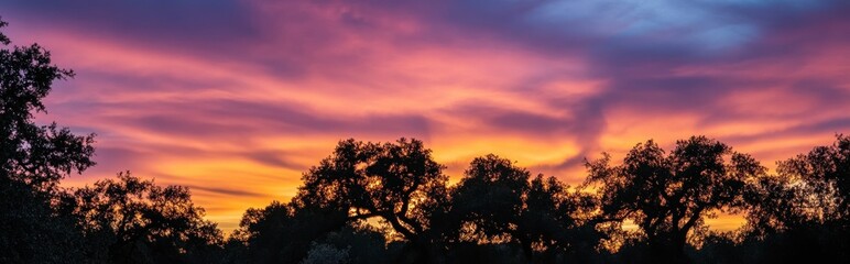 Silhouette of trees against a vibrant sunset sky with colorful clouds.