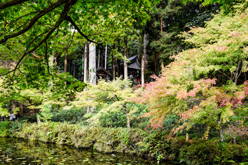 岐阜県・関市のモネの池を訪ねて