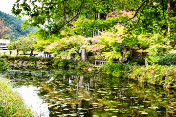 岐阜県・関市のモネの池を訪ねて