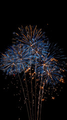 New year&rsquo;s day