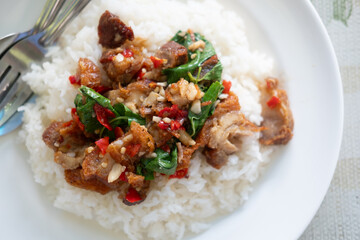 Pad Krapow Moo Krob with steamed rice, crispy pork, holy basil, and a fried egg.