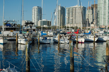 View NW from Benoist Plaza towards downtown St. Petersburg  Florida. Cityscape over boat Marina in back. Blue sky on a sunny day. Near The Pier. Dock post, pelicans, yachts, water reflection landscape
