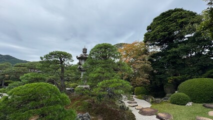 view from the top of the hill