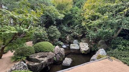 garden in the garden