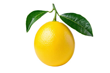 Fresh Yellow Citrus Fruit with Green Leaves