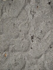 texture of the sand