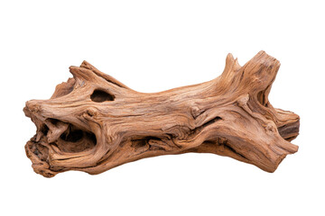 Beautiful Natural Driftwood with Unique Texture and Shape