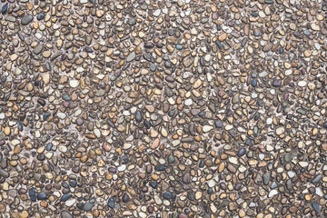 Sea stone slab mixed with concrete for the background. floor