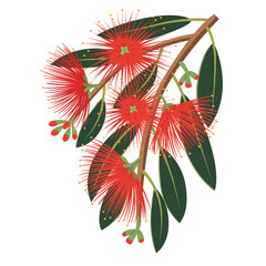 New Zealand Christmas Tree Illustration