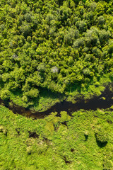 Green expanse of trees and water streams in rural areas. Bushes and water bodies. The outskirts of a residential area in East Kotawaringin, Central Kalimantan, Indonesia.