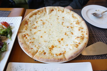 Gorgonzola cheese pizza
