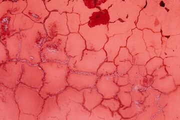 Mission to Mars. The surface of the red planet. Faults and craters in the surface topography....