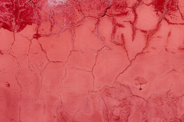 Mission to Mars. The surface of the red planet. Faults and craters in the surface topography....
