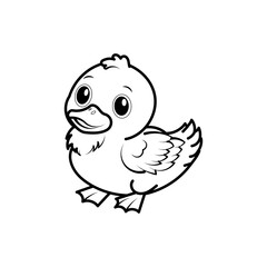 Duck on white background