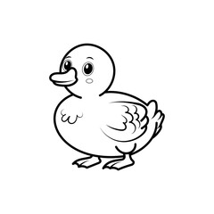 Duck on white background