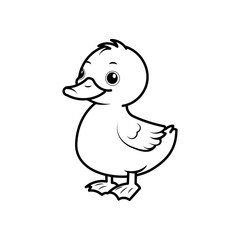 Duck on white background