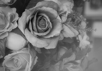 Roses for background, black and white