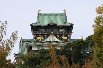 Osaka castle shines golden in the morning sun and you can be climbed