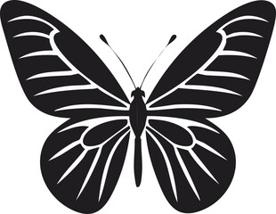 Butterfly Vector Black