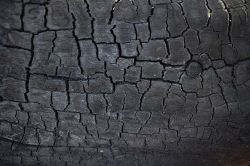 A close-up view of a log after being burned, with charred, blackened texture revealing cracked and brittle patterns on the wood’s surface