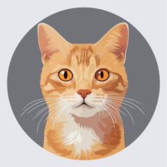 An orange cate on gray background