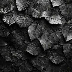 Obraz premium Abstract Black and White Texture of Overlapping Leaves