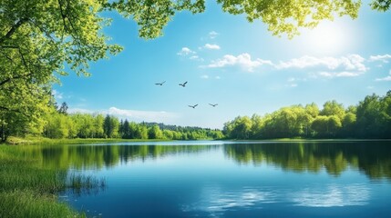 Obraz premium Four majestic birds soaring over a tranquil lake in a peaceful natural landscape under a clear blue sky