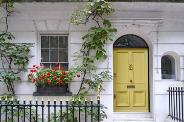 London townhouse entrance with vine and flowers