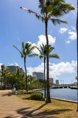 the Ala Wai Canal Path along the Ala Wai Canal with lush green palm trees, flowers, hotels and luxury condos, blue sky and clouds in Honolulu Hawaii USA