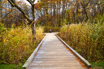 Fototapeta premium The Goshikinuma Nature Trail deep in Fukushima Prefecture, Tohoku, Japan.
