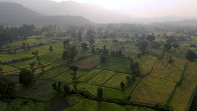Aerial view of agriculture field at evening time. Beautiful Aerial view of farm land. 