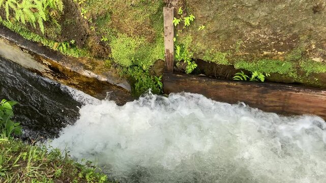 Close up view of river currents or water ripples. Clear fresh water flowing with wooden edge, green leaves plants, rocks and nature surrounding