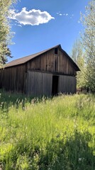 A rustic wooden barn surrounded by tall grass and trees under a clear blue sky.