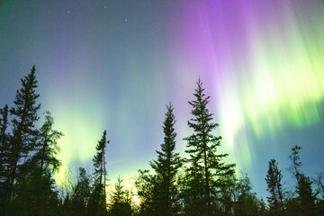 Beautiful Aurora in Canada