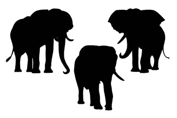 Fototapeta premium 3 elephant silhouettes in different poses. suitable for design