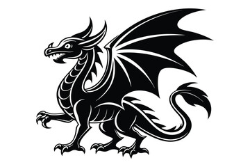 dragon tattoo design with white background