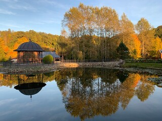 Obraz premium autumn in the park