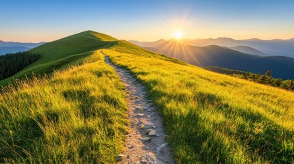 Fototapeta premium A serene sunrise over a grassy hillside path leading into distant mountains.