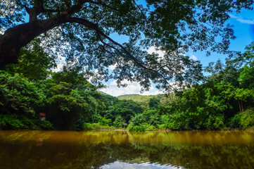 Green forest nature and small stream at Choeng Doi Suthep Wildlife and Nature Education Center Mueang Chiang Mai District, Chiang Mai Province, Northern Thailand