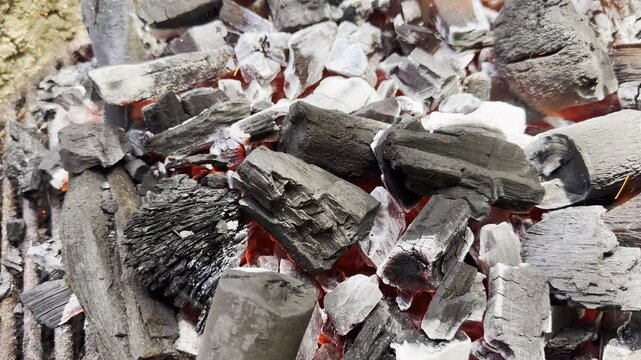 Video 4k de carb&oacute;n para la parrilla