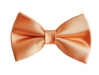 Elegant Orange Satin Bow Tie Style Accessory