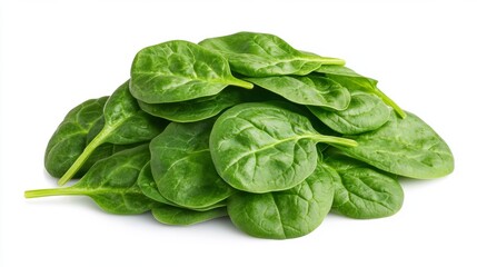 Fototapeta premium Fresh Green Spinach Leaves Isolated on White Background