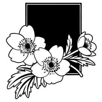 recommend clip art: Anemone Line Art Vector