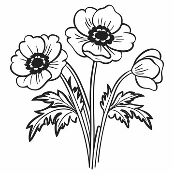 recommend clip art: Anemone Line Art Vector