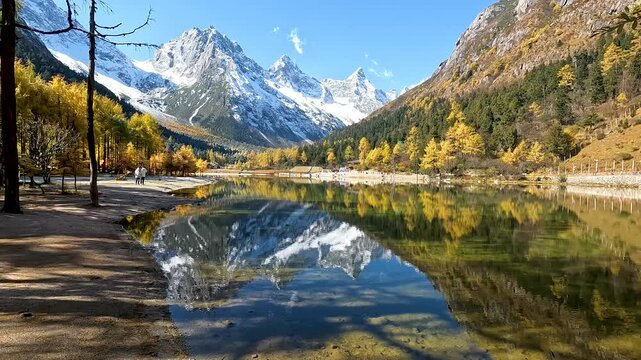 Landscape Bipenggou Valley - Most Beautiful Panyang Lake or Argali Lake and Yellow Tree with Snow Mountain  in Mount Bipenggou National Park in Xiaojin Sichuan Province China - Stable Footage Autumn
