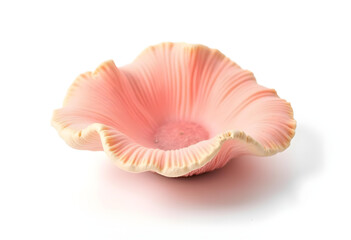 delicate pink shell shaped decorative piece with intricate textures, perfect for home decor or as unique gift. Its soft curves and natural design evoke sense of tranquility and beauty