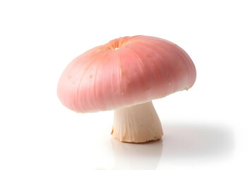 Fototapeta premium Pink mushroom with smooth cap and sturdy stem, showcasing natural textures and colors. Ideal for culinary or botanical themes