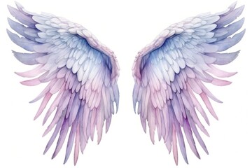 Obraz premium Angel wing bird white background.