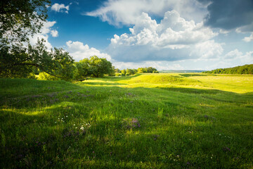 Fototapeta premium Splendid spring view of green lawn and blue sky with white fluffy clouds.